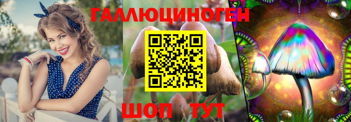 Ноябрьск  Псилоцибиновые грибы Psilocybine cubensis  Псилоцибиновые грибы Magic Shrooms  Вход с VPN 